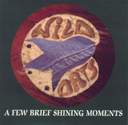 [A Few Brief Shining Moments]