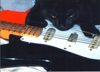 Figaro (Figgy) Figaro using my B string as a chew toy